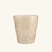 baobab collection paloma candles max 16