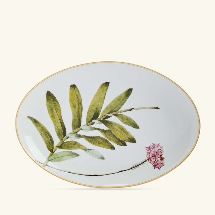 bernardaud jardin indien serving platter oval white 38cm