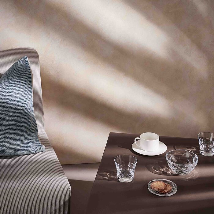 baccarat beluga tumbler glass clear set of 2