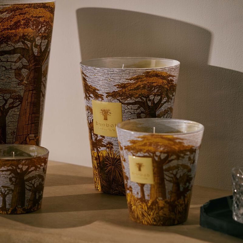 Sacred Trees Cocody Candle Max 24 baobab collection sacred trees cocody candle max 24