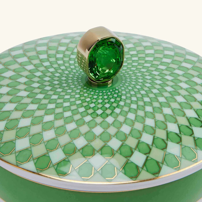 rosenthal signum fern rice bowl green