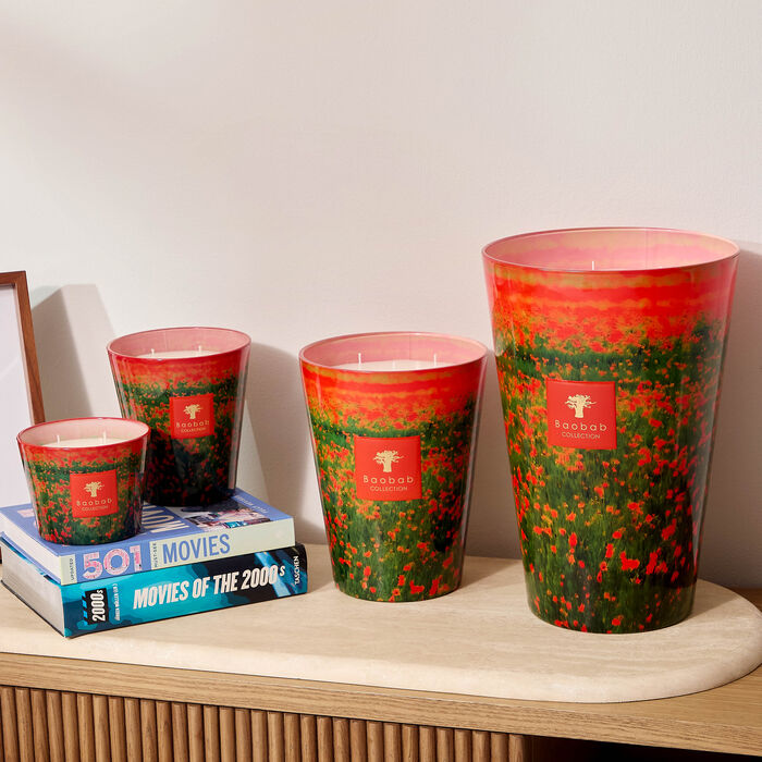baobab collection poppies candles max 24
