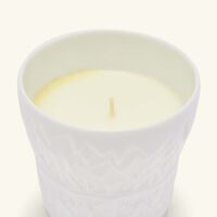 bernardaud porcelaine candle