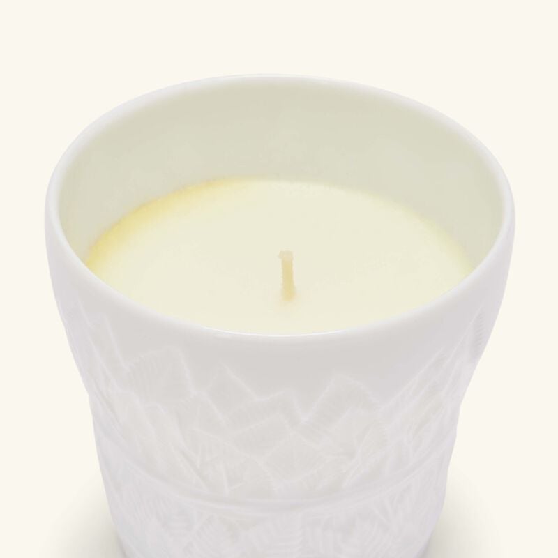 bernardaud porcelaine candle