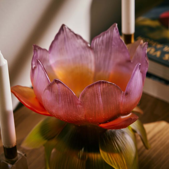 daum jardin de lotus vase medium