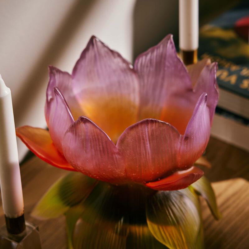 daum jardin de lotus vase medium