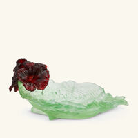 Hibiscus Centerpiece Green daum hibiscus centerpiece green