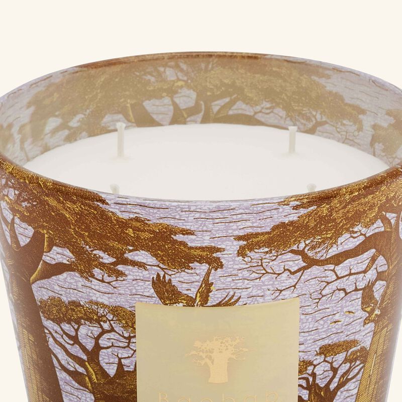 baobab collection sacred trees cocody candle max 10