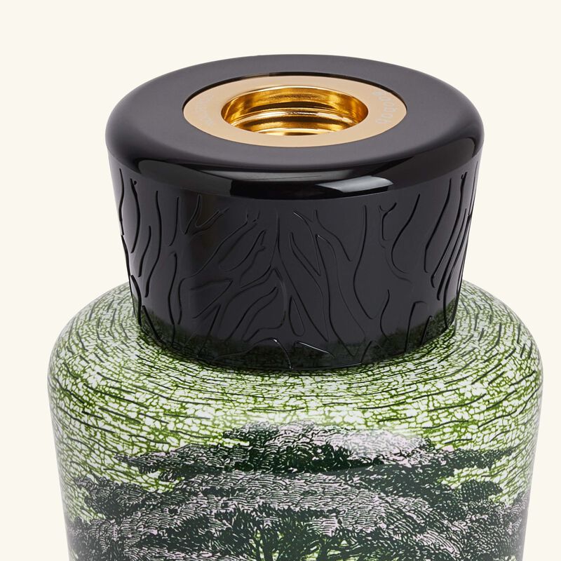 baobab collection sacred trees touba diffuser 500ml