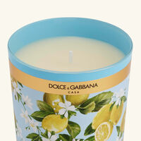 dolce gabbana casa lemon candle