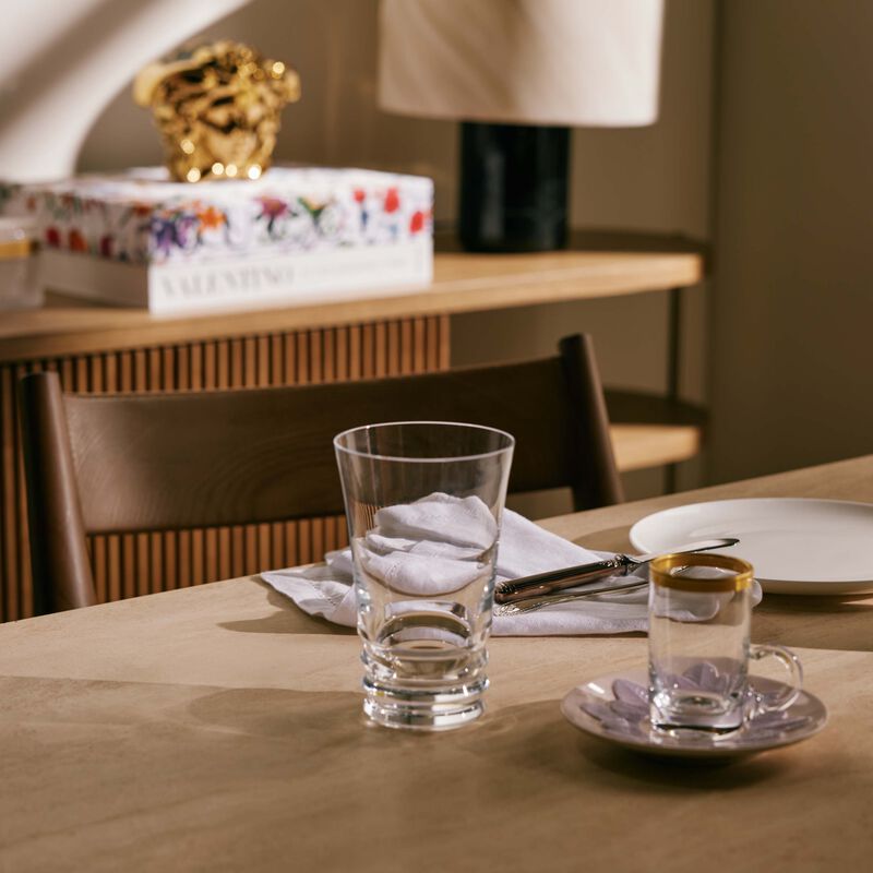 baccarat vega drinking glass clear set of 2