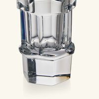 باكارا كأس أبيس شفاف