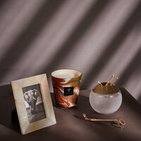 Delta Okavango Candle Max 16 baobab collection delta okavango candle max 16