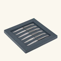 forge de laguiole philippe starck table knife silver set of 6