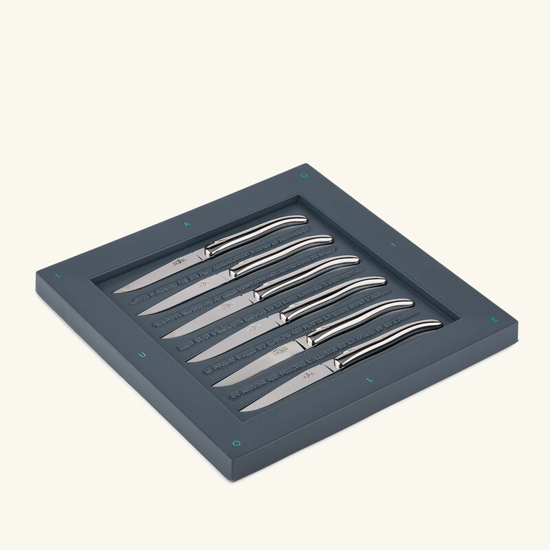 forge de laguiole philippe starck table knife silver set of 6