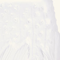 lalique botanica vase medium clear