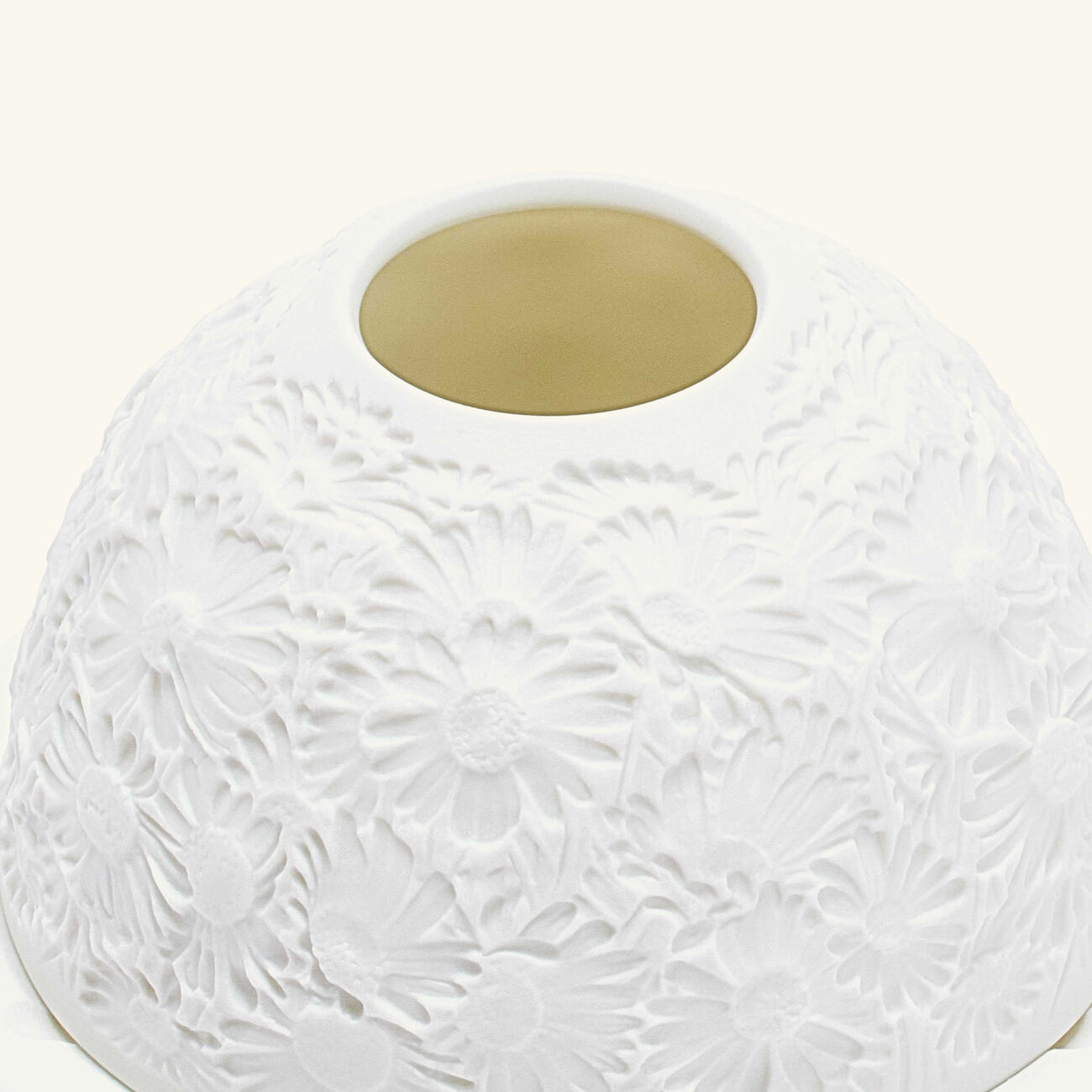 برناردو مصباح ليثوفاني ديزيز