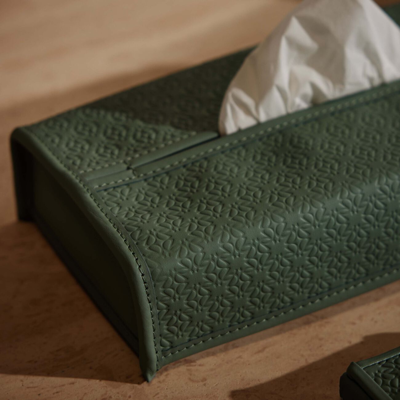 جيوبانيارا علبة مناديل إيلي صعب مونوغرام أجاتا باللون الأخضر