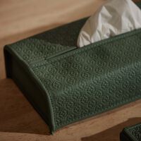 جيوبانيارا علبة مناديل إيلي صعب مونوغرام أجاتا باللون الأخضر