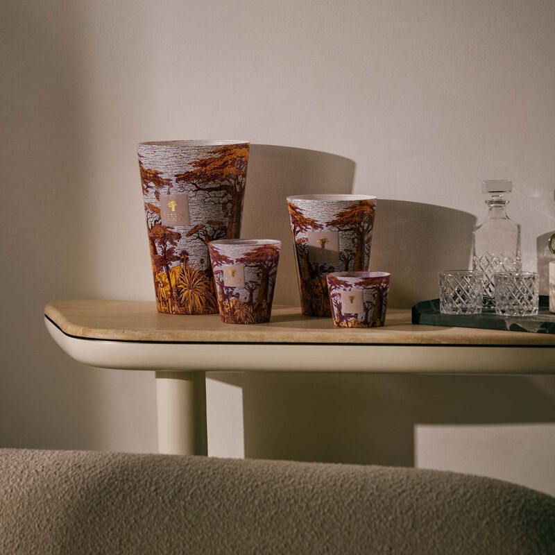 baobab collection sacred trees massasso candle max 24