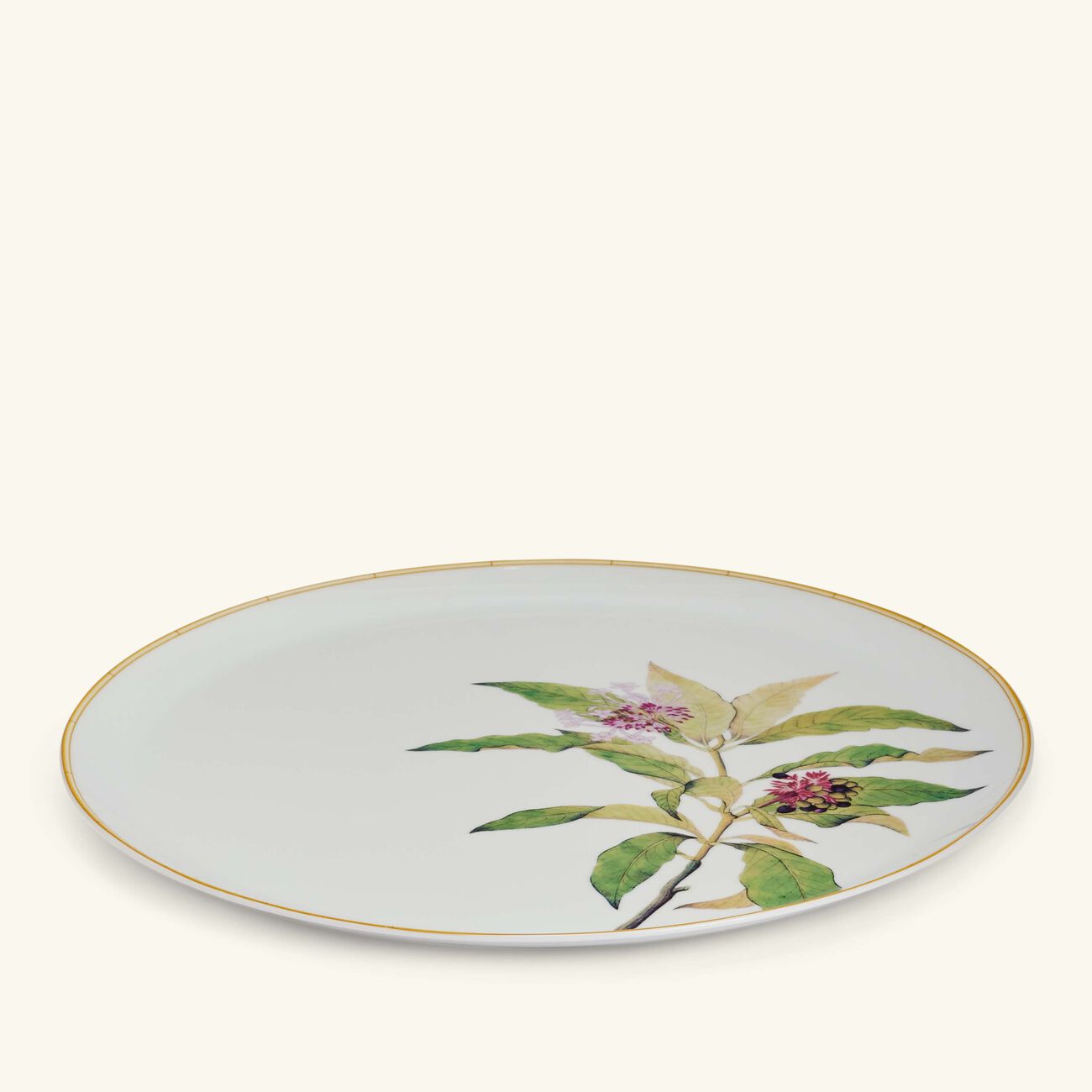 Jardin Indien Serving Platter Round Green 32cm bernardaud jardin indien serving platter round green 32cm