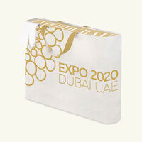 assouline expo 2020 dubai the definitive edition book 47x40cm