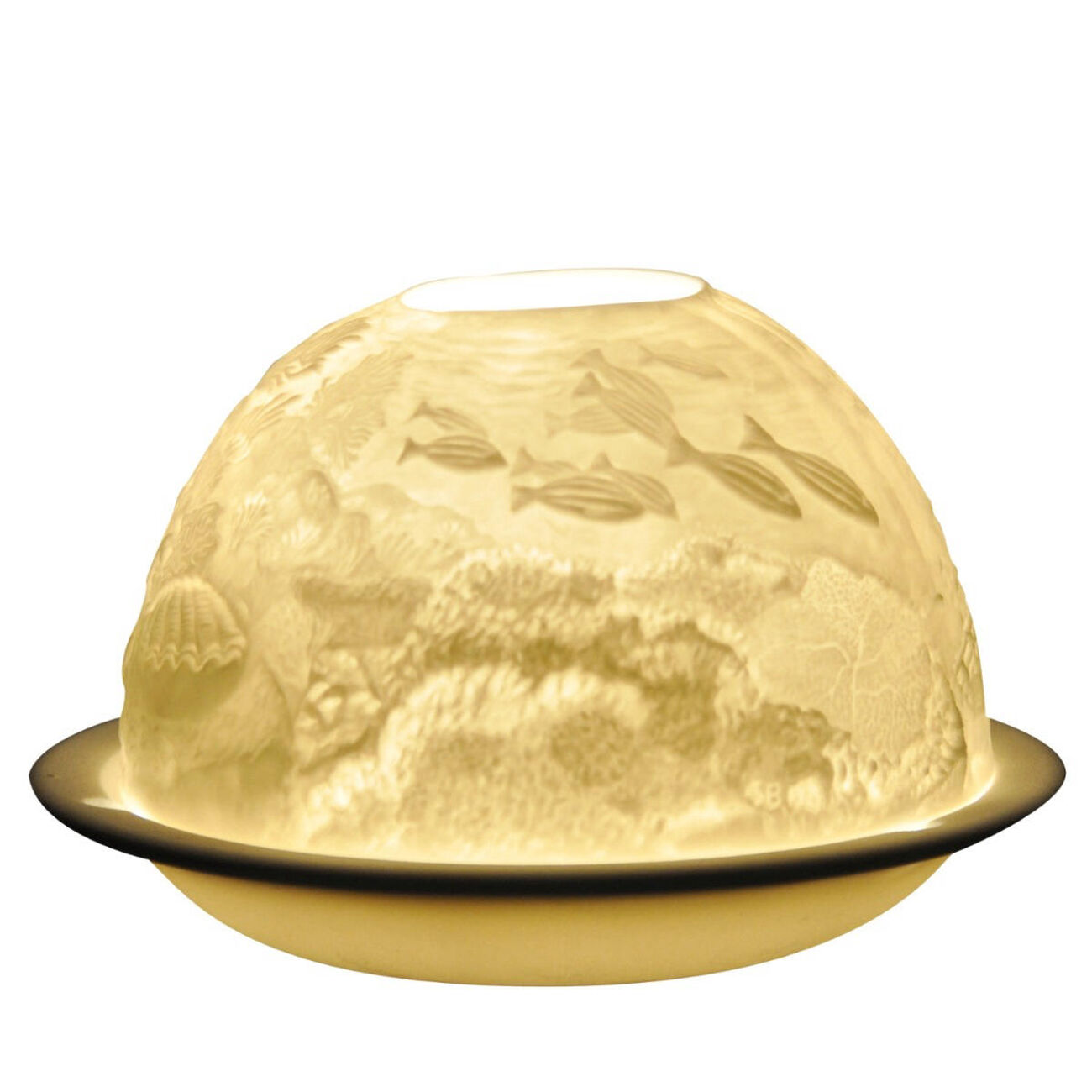 برناردو ليثيوف كورال ريفي