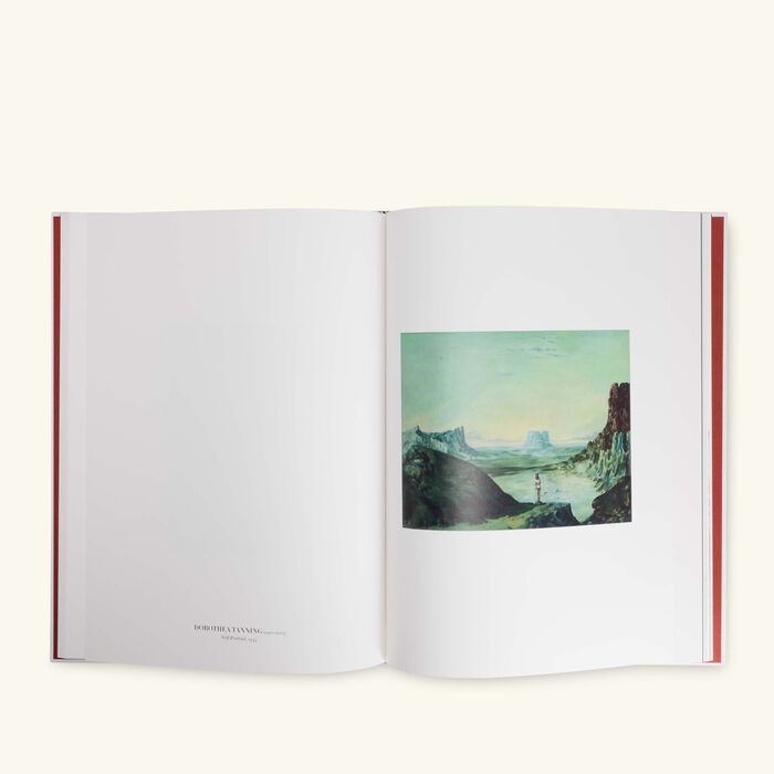 assouline self portraits from 1800 to the present book 37x26cm