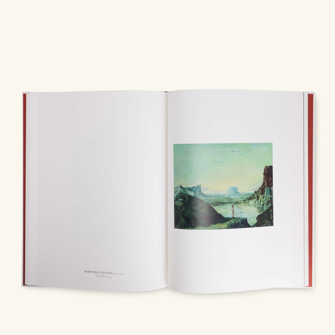 Self Portraits From 1800 to The Present Book 37x26cm assouline self portraits from 1800 to the present book 37x26cm