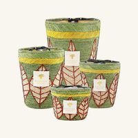 Ravintsara Ravina Candle Max 16 baobab collection ravintsara ravina candle max 16
