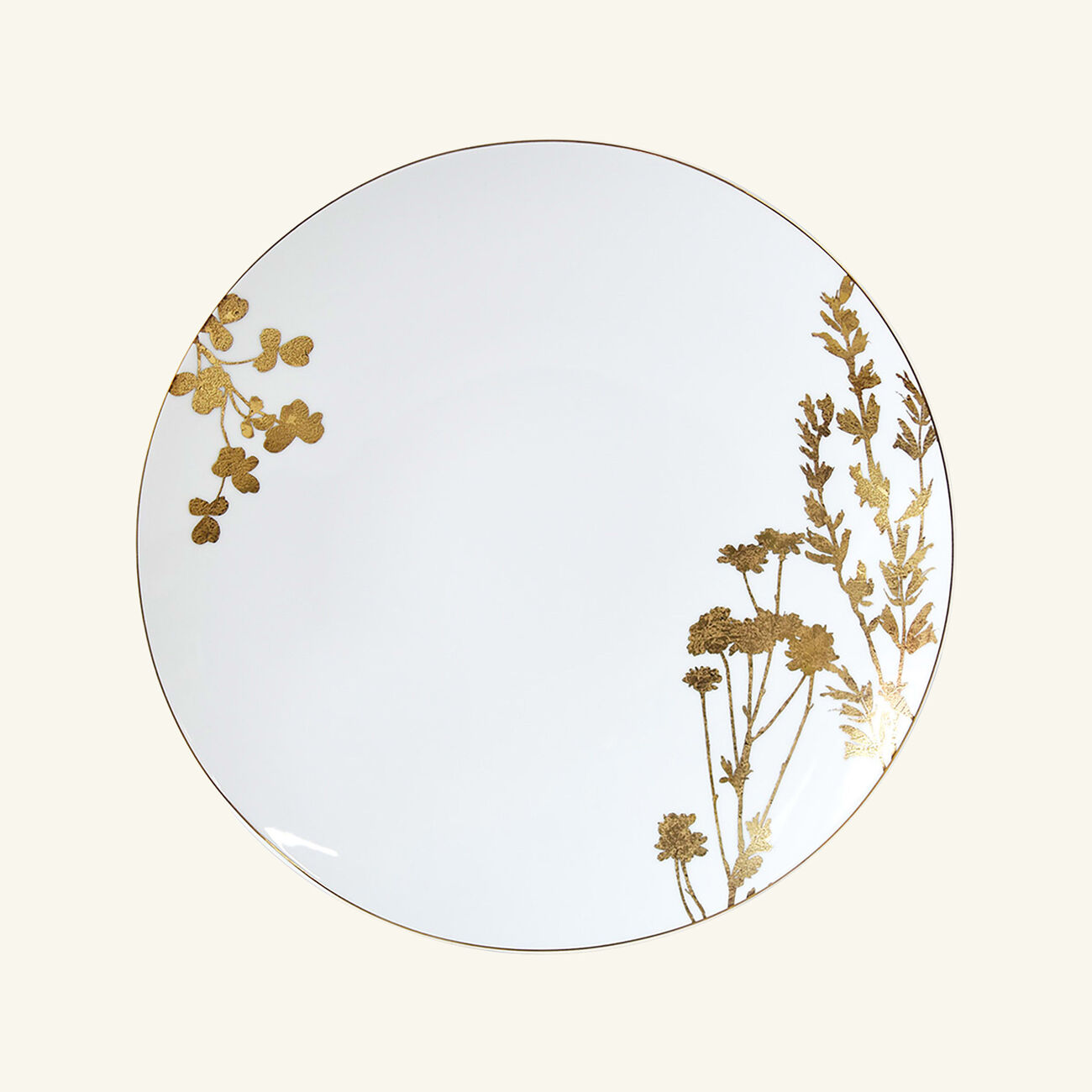 Végétal Or Dinner Plate Round Gold 26cm Set Of 4 bernardaud v g tal or dinner plate round gold 26cm set of 4