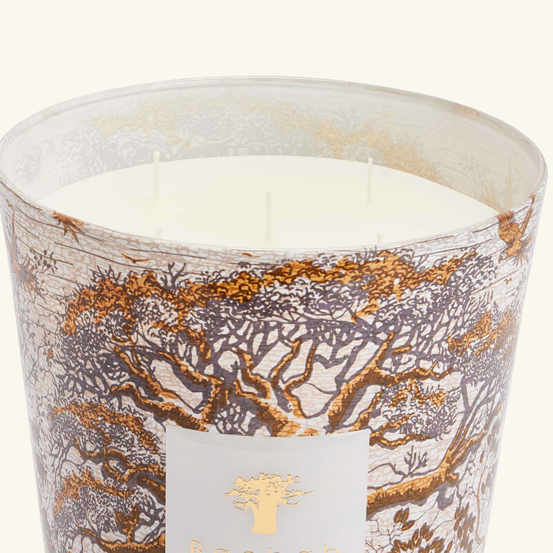 Sacred Trees Dualla Candle Max 24 baobab collection sacred trees dualla candle max 24
