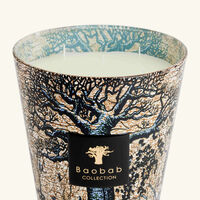 Sacred Trees Seguela Candle Max 24 baobab collection sacred trees seguela candle max 24
