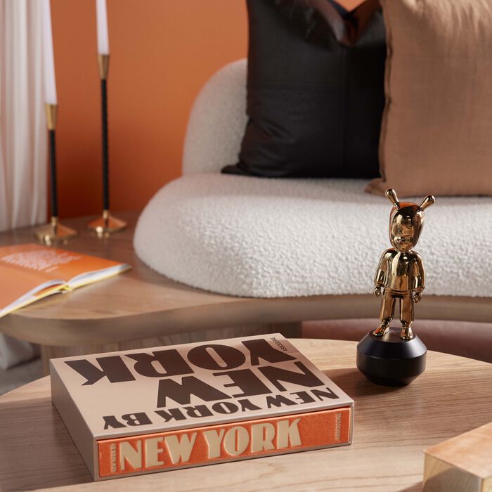 assouline new york by new york book 33x25cm