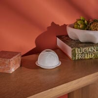 Magnolia Blossoms Lithophanie bernardaud magnolia blossoms lithophanie