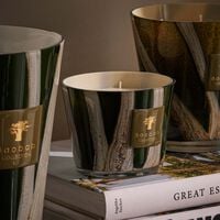 Woods Sherwood Candle Max 10 baobab collection woods sherwood candle max 10