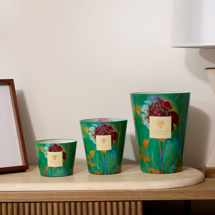 baobab collection bouquet candles max 16