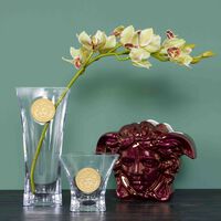 versace medusa madness vase large clear