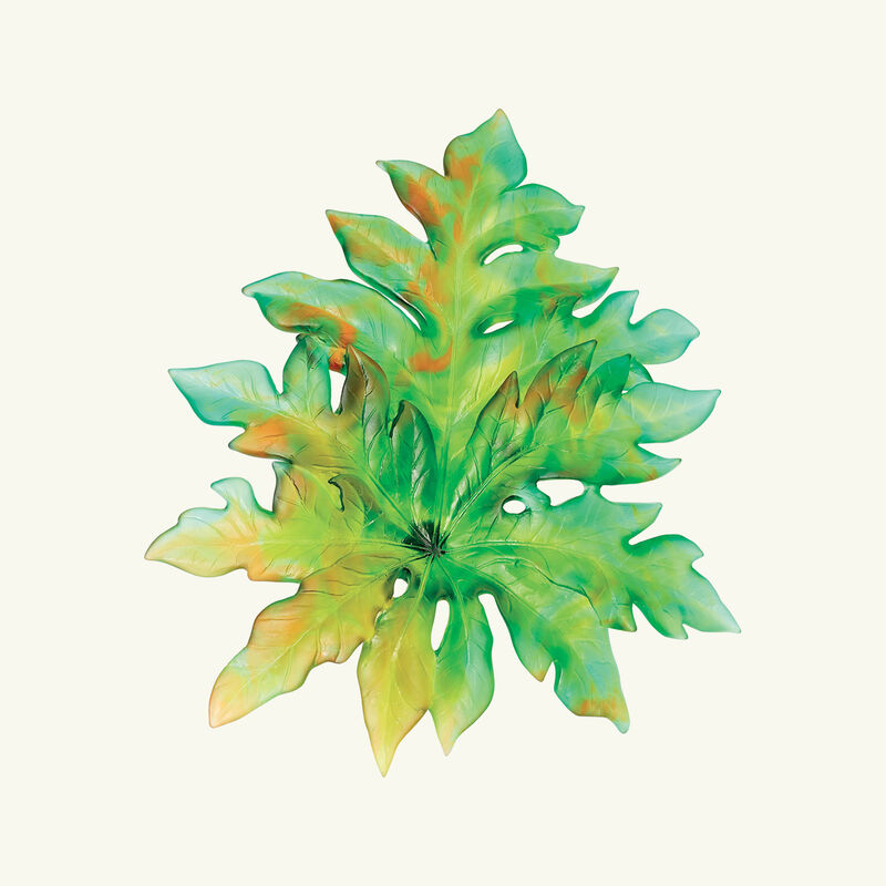 Daum Large Green Wall Leaf Tanagra UAE