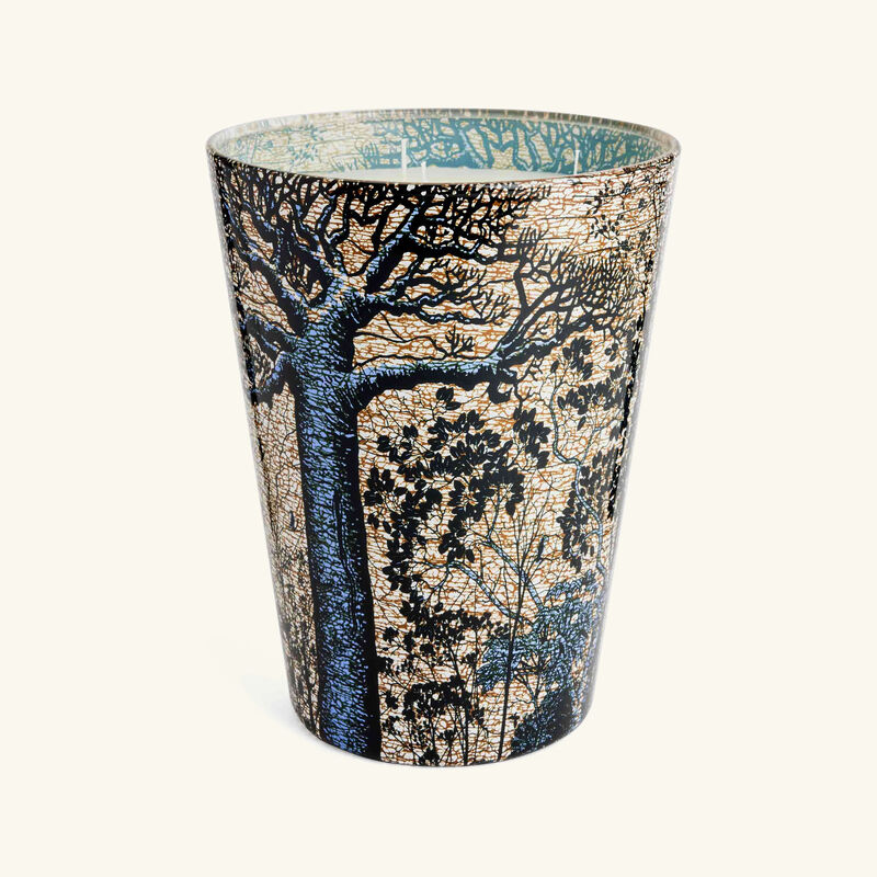 Sacred Trees Seguela Candle Max 24 baobab collection sacred trees seguela candle max 24