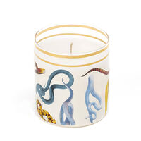 Scented Candles Snakes, small