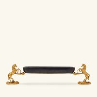 إيرا أودايبور صينية التمور أشوا ريجال