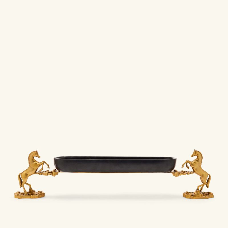 إيرا أودايبور صينية التمور أشوا ريجال