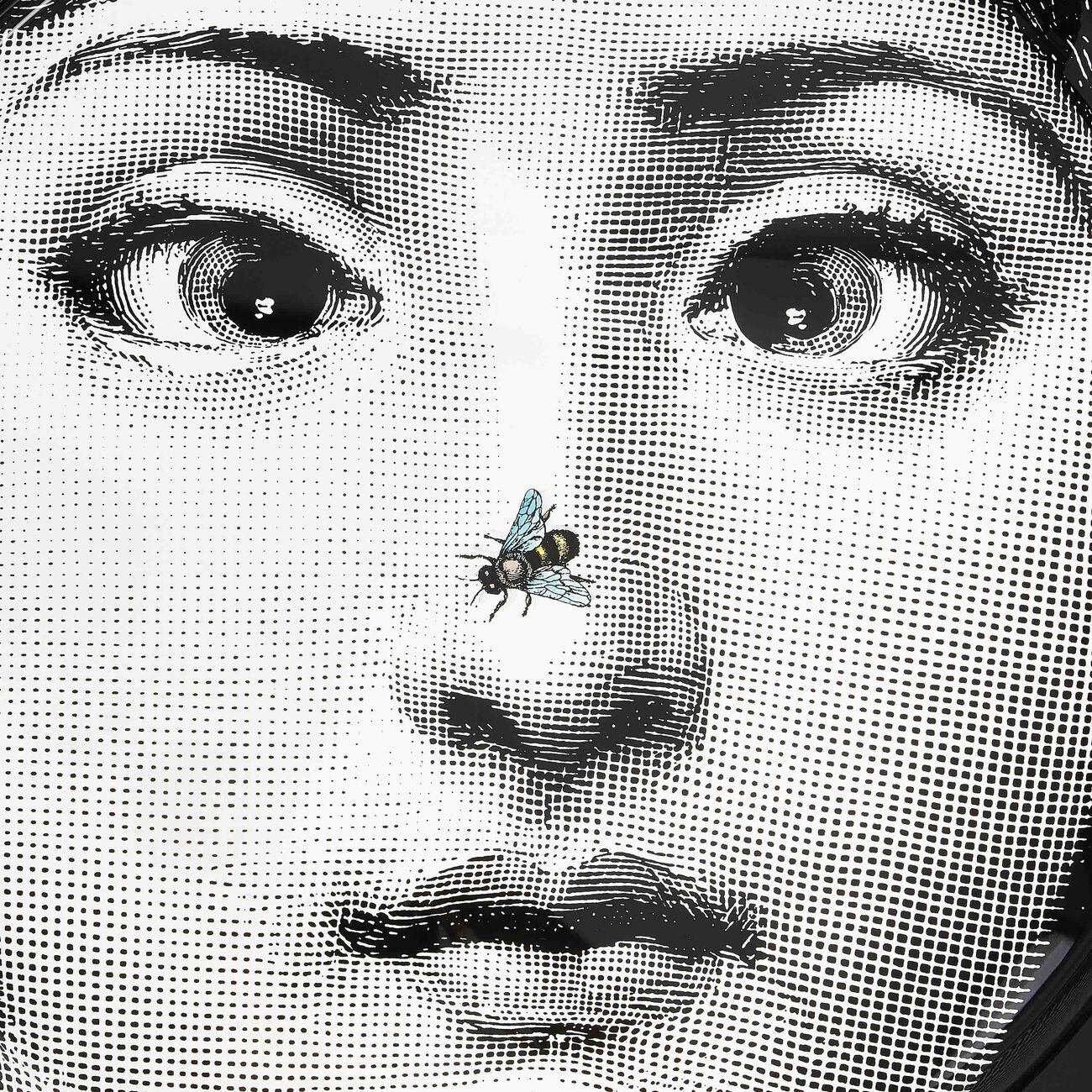 فورناسيتي صينية تيما إي فاريازيوني 363 دائرية كبيرة جدًا