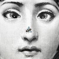 فورناسيتي صينية تيما إي فاريازيوني 363 دائرية كبيرة جدًا