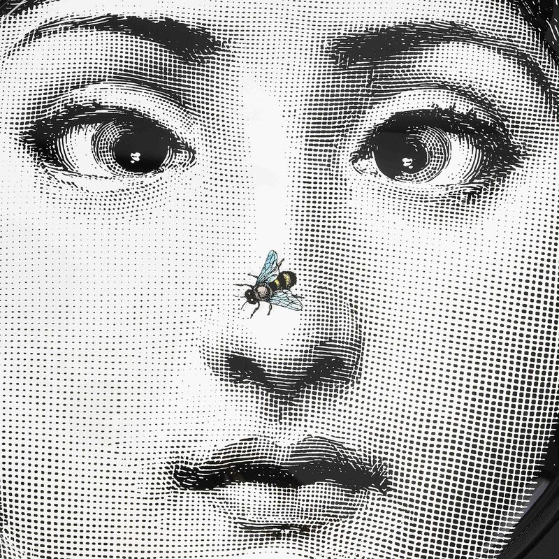 فورناسيتي صينية تيما إي فاريازيوني 363 دائرية كبيرة جدًا