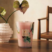 شمعة أوشيانيا جوكوربا ماكس 24 باوباب شمعة أوشيانيا جوكوربا ماكس 24