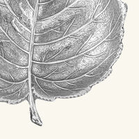 buccellati hazel leaf bowl mini