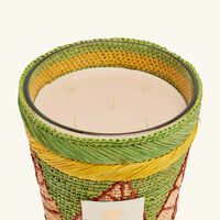 Ravintsara Ravina Candle Max 24 baobab collection ravintsara ravina candle max 24