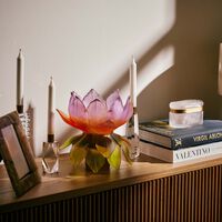 daum jardin de lotus vase medium